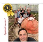 2618 Mendi 2025 (1187,5kg)