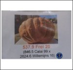537.9 Frei 2020 (244kg)