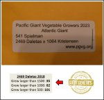 541 Spielman 2023 (245,4kg)