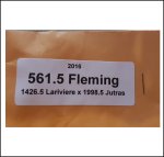 561.5 Fleming 2016 (254,7kg)