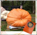 726.2 Möller 2022 (329,3kg) 726.2 Möller 2022 (329,3kg)