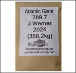 789.7 J.Werner 2024 (358,2kg) 2 Kerne 789.7 J.Werner 2024 (358,2kg) 2 Kerne