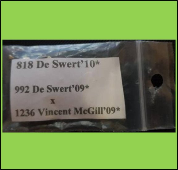 818* De Swert 2010 (371kg) - zum Schließen ins Bild klicken