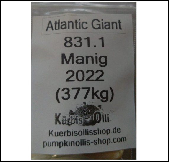 831.1 Manig 2022 (377kg) - zum Schließen ins Bild klicken