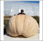 842 Rendell 2018 (381,9kg) 1 Kern