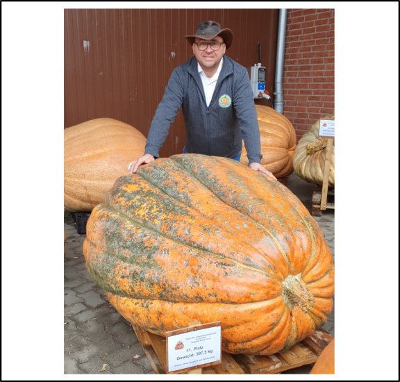 876.3 Langheim 2019 (397,5kg) - zum Schließen ins Bild klicken