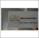 886.3 Goedel 2021 (393kg)