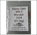 906.4 Wendel 2024 (411kg)