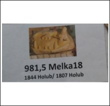 981.5 Melka 2018 (445,2kg)