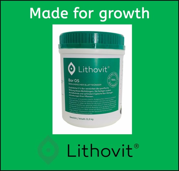 LITHOvit BOR 05 - 500g - zum Schließen ins Bild klicken