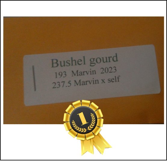 193 Marvin 2023 (87,5kg) - zum Schließen ins Bild klicken