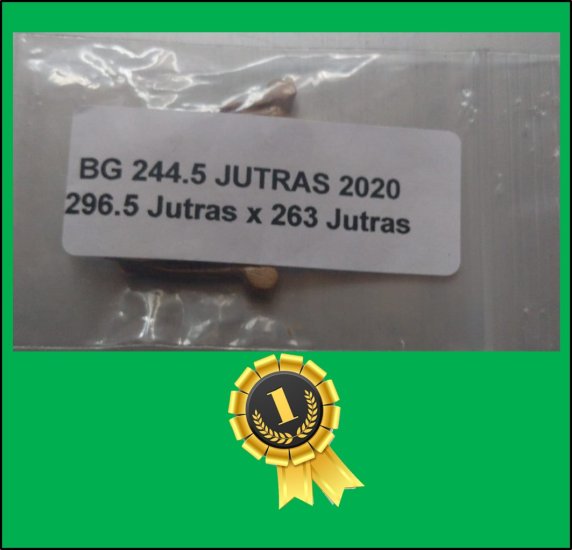 244.5 Jutras 2020 (110,9kg) 1 Kern - zum Schließen ins Bild klicken