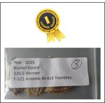 339.5 Werner 2025 (154kg) 1 Kern