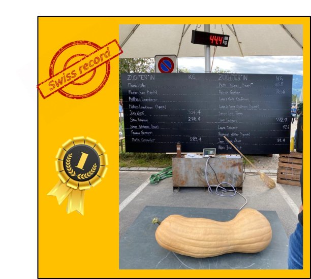 Butternut JWS 6823 PMT F1 (5 Kerne) - zum Schließen ins Bild klicken