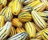 Delicata Organic (5 seeds)