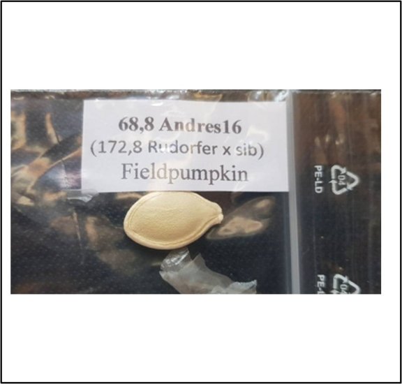 68.8 Andres 2016 (31,2kg) - zum Schließen ins Bild klicken