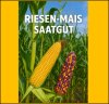 Mais / Corn