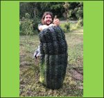 89.3 Kloch 2019 (40,5kg) 1 Kern