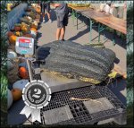 94.6 J.Reimer 2022 (42,9kg) 1 Kern 94.6 J.Reimer 2022 (42,9kg) 1 Kern