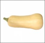 Maxim F1 Butternut (5 Kerne)