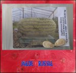 120.8 Agafonova 2024 (54,8kg) 1 Kern