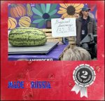 293 Vasilyev 2025 (133kg) 1 Kern