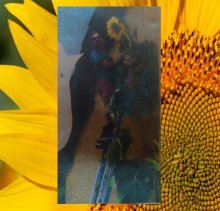 14 Di Palma 2022 (426,9cm) 1 Kerne