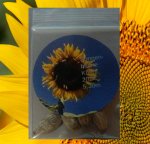 17.38 Knobi 2024 (530cm) 1 Kern