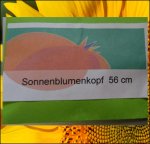 22.04 Puchner 2019 (56cm) 2 seeds 22.04 Puchner 2019 (56cm) 2 seeds