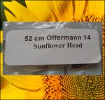 20.47 Offermann 2014 (52cm Kopfdurchmesser) 2 Kerne 20.47 Offermann 2014 (52cm Kopfdurchmesser) 2 Kerne