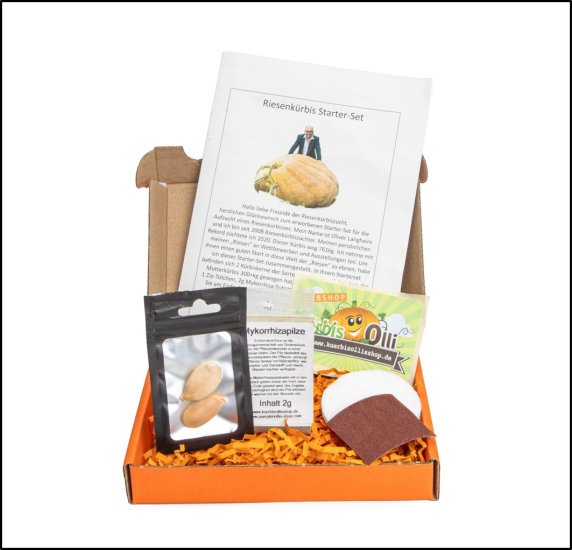 Riesenkürbis Starter-Set orange - zum Schließen ins Bild klicken