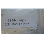 4.94 Menting 2014 (2,24kg) 1 Kern