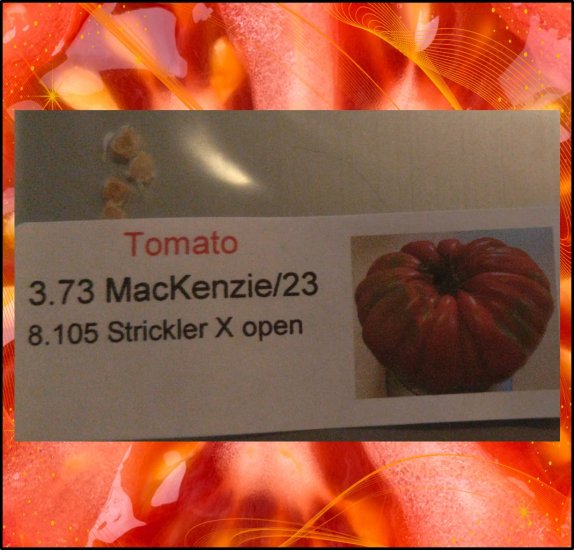 3.73 MacKenzie 2023 (1,69kg) 1 Kern - zum Schließen ins Bild klicken