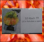 4.17 Kloch 2019 (1,89kg) 1 seed