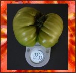 4.92 Dabrowski 2022 (2,23kg) 1 Kern