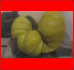 4.95 Smith 2019 (2,245kg) 1 Kern