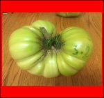 5.2 Smith 2019 (2,35kg) 1 Kern