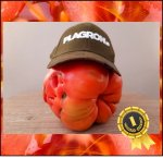 6.08 Puttenstein 2020 (2,75kg) 1 Kern