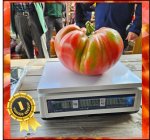 6.00 Rataj 2025 (2,72kg) 1 Kern