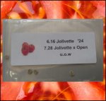 6.16 Jolivette 2024 UOW* (2,794kg) 1 Kern