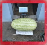 133.7 Laskiewicz 2022 (60,6kg) 1 Kern