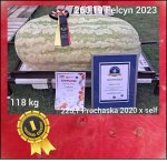 260.19 Felcyn 2023 (118kg) 1 Kern