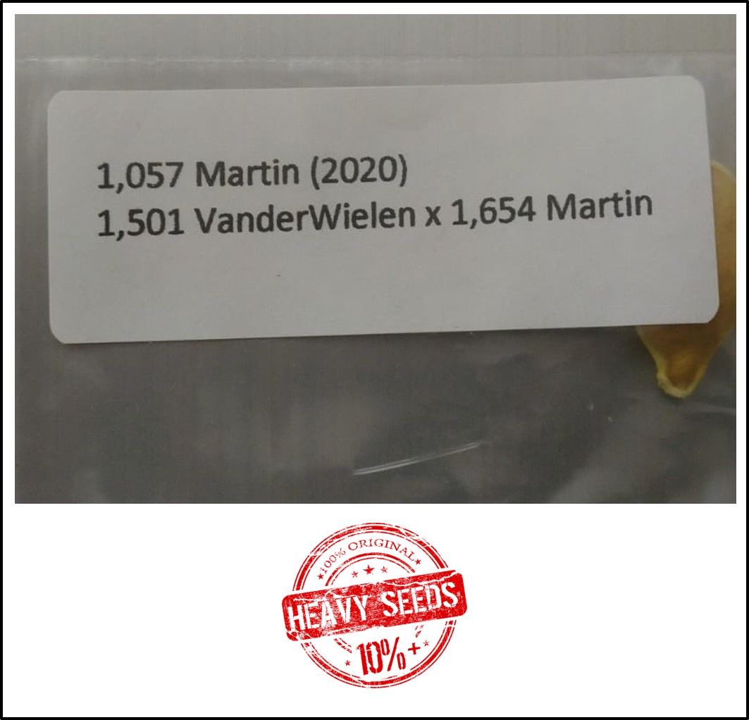 1057 Martin 2020 (479,5kg)
