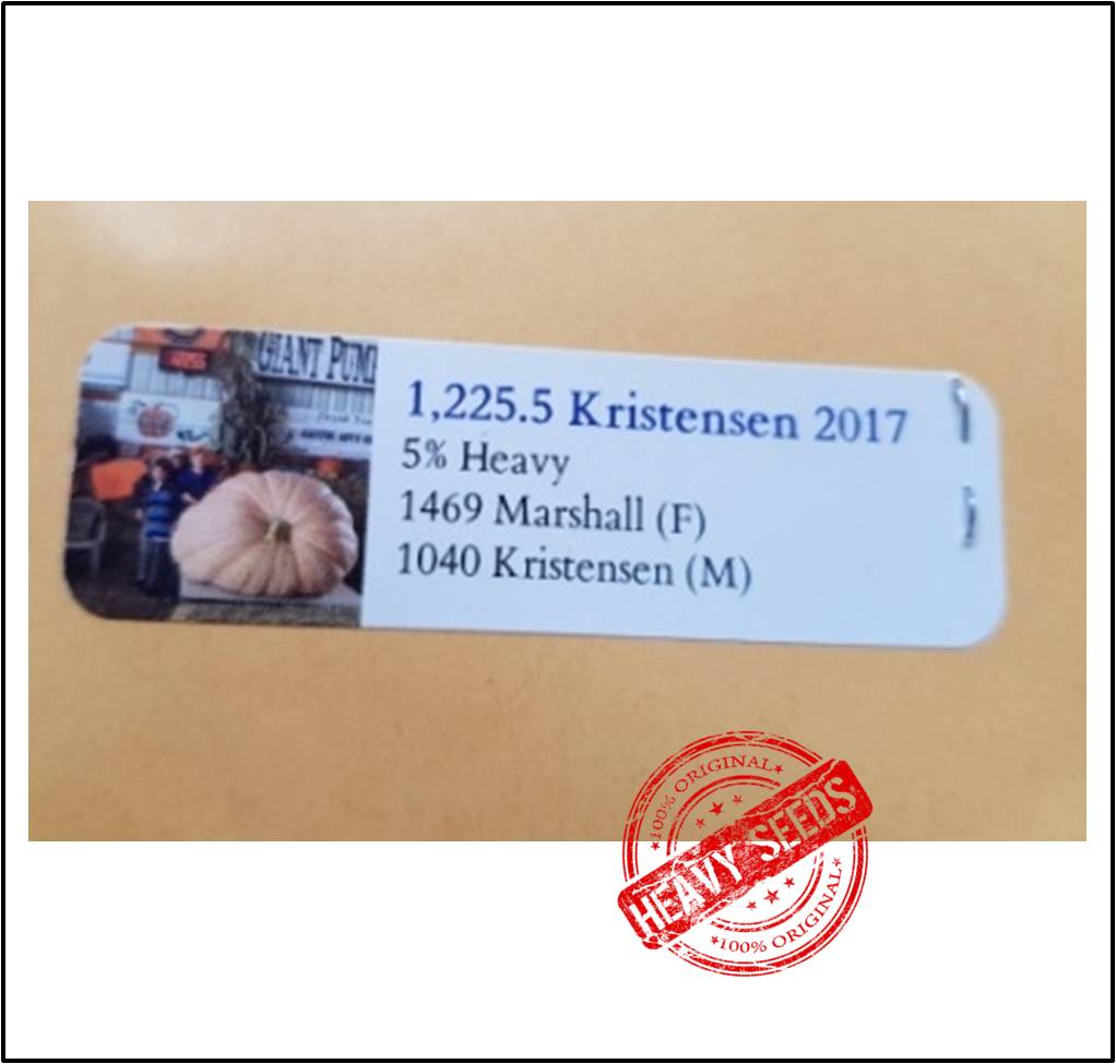 1225.5 Kristensen 2017 (555,8kg)