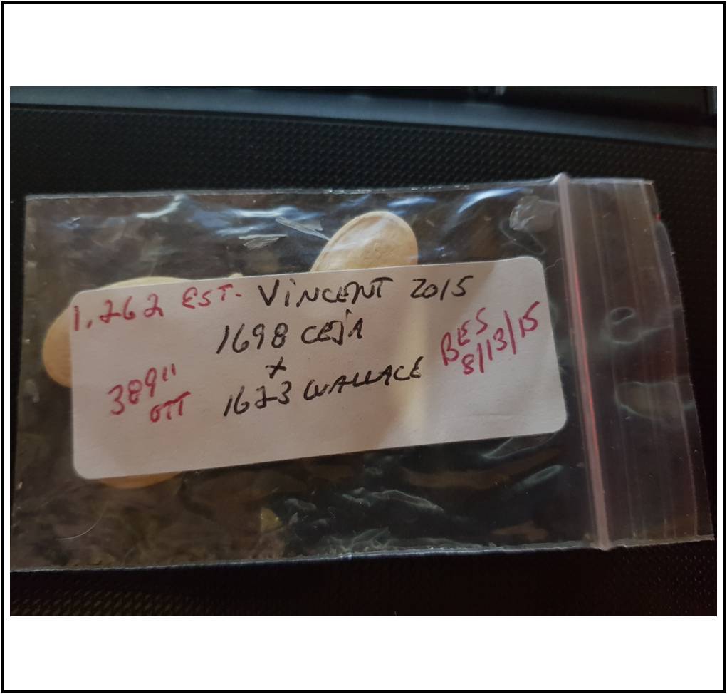 1262 Vincent 2015 (572,4kg) 1262 Vincent 2015 (572,4kg)