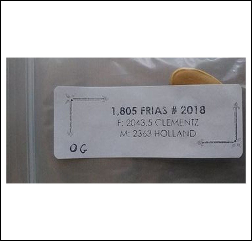 1805 Frias 2018 (818,7kg)