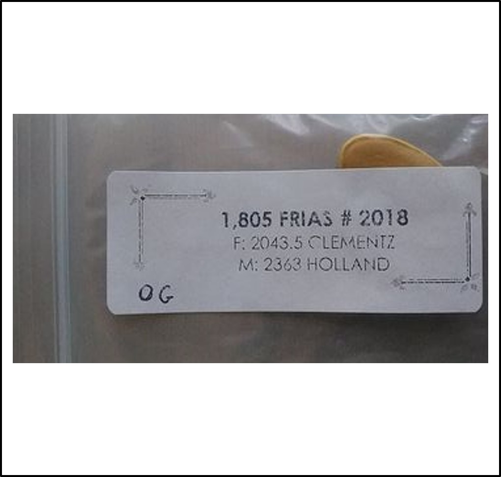 1805 Frias 2018 (818,7kg) 1805 Frias 2018 (818,7kg)