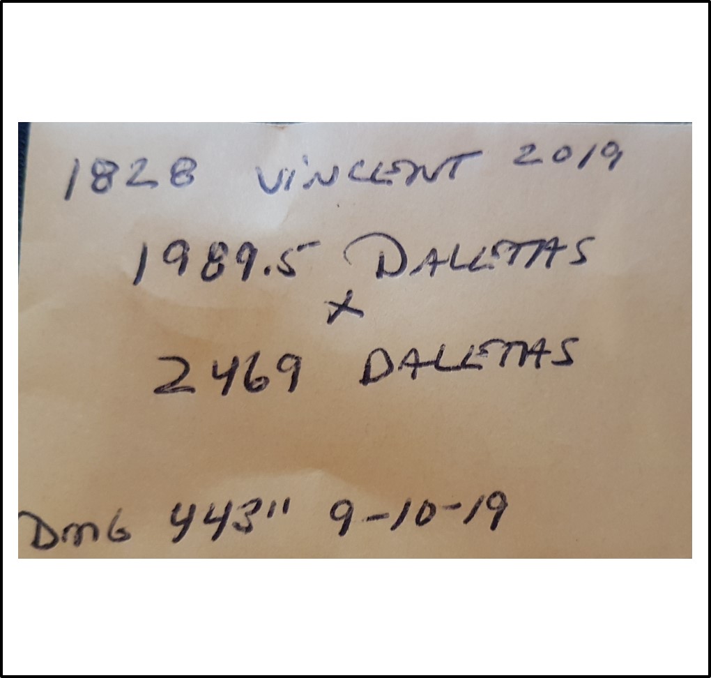 1828 Vincent 2019 (829,1kg) 1828 Vincent 2019 (829,1kg)