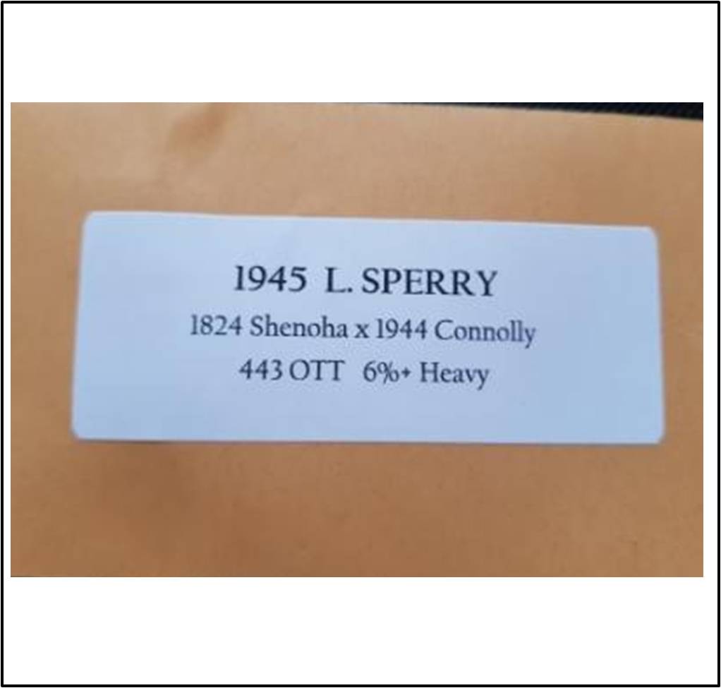 1945 L.Sperry 2017 (882,2kg)