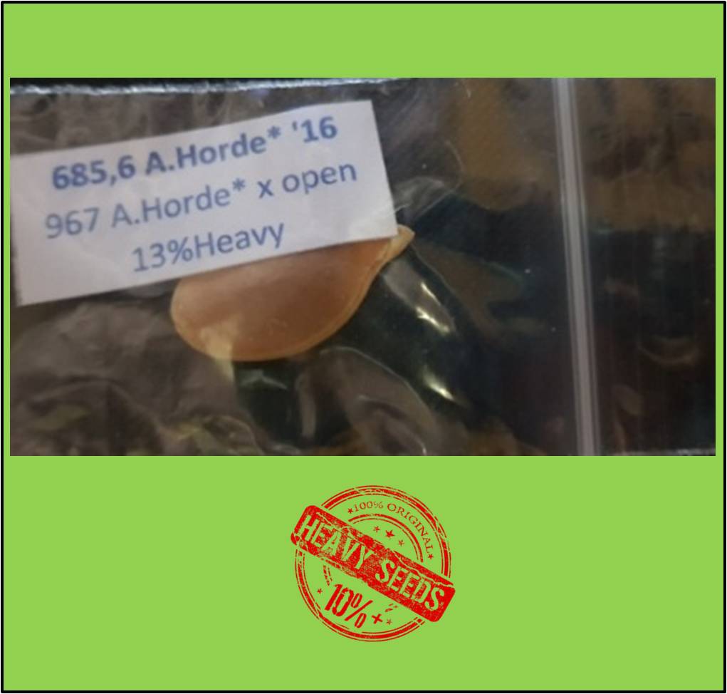 685.6* A.Horde 2016 (298.7kg) 685.6* A.Horde 2016 (298.7kg)